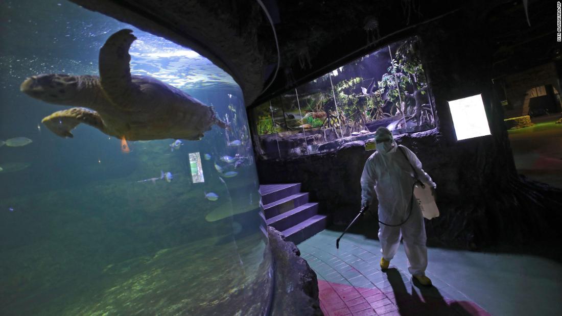 A Sea World employee sprays disinfectant in Jakarta, Indonesia, on Saturday, March 14.